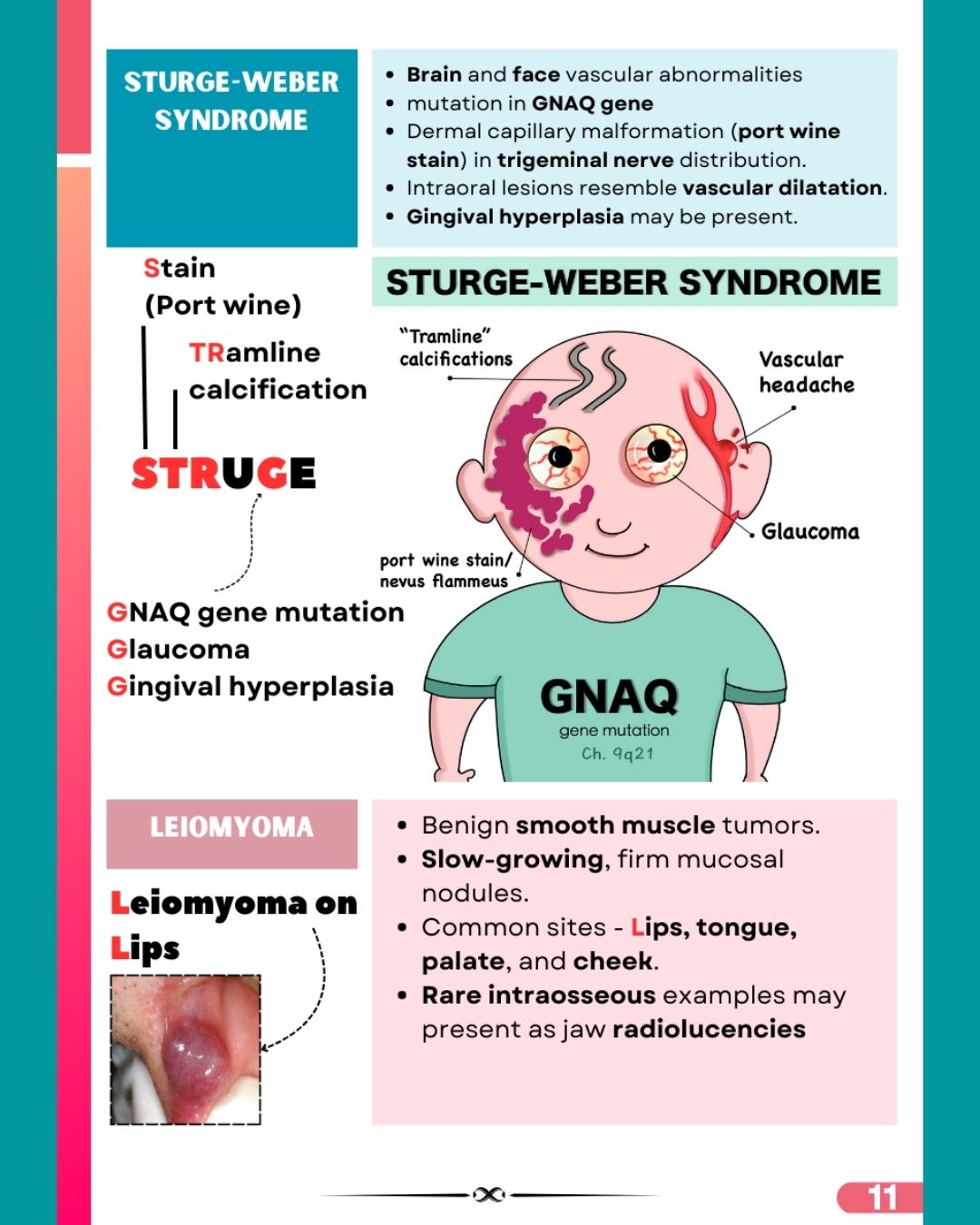 Last Bite Oral Pathology & Medicine for NEET-MDS
