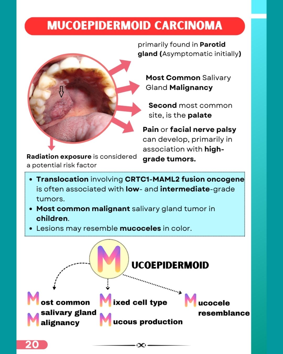 Last Bite Oral Pathology & Medicine for NEET-MDS
